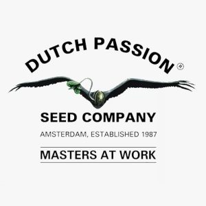 Dutch Passion