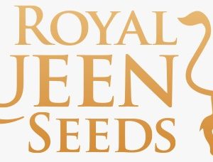 Royal Queen Seeds
